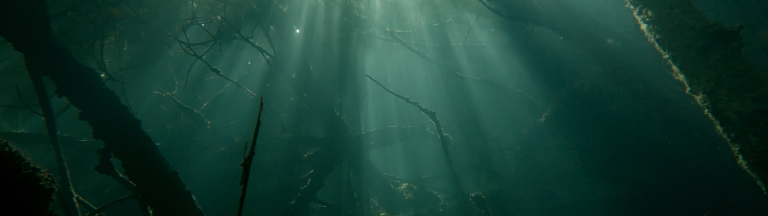 Elokuvajuliste: TAIDETTA TAITEEN VUOKSI: TIME QUARTET (2022)