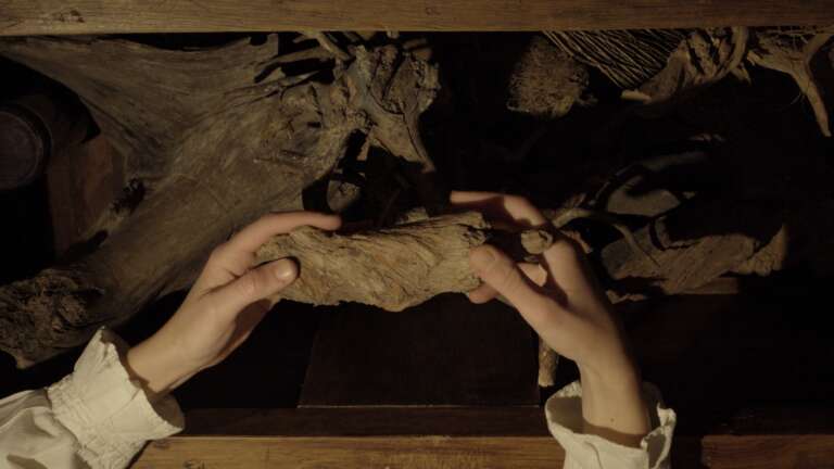 Elokuvajuliste: TAIDETTA TAITEEN VUOKSI: MUISTIJÄLKIÄ (2011-2023)