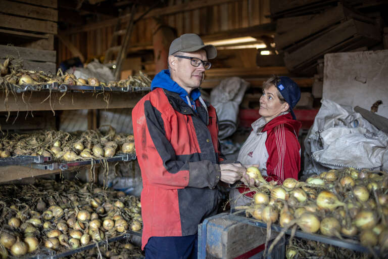 Elokuvajuliste: POHJOINEN INTOHIMO (2026)